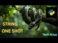 Python Strings Complete Python Tutorial for Beginners