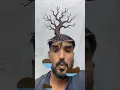 Download Lagu Finding water for tree! Difficult! #trustonallah