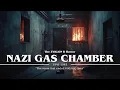 Lagu Relaxing Documentary | ENTIRE History of NAZI GAS CHAMBER | WW2 | Fall Asleep To