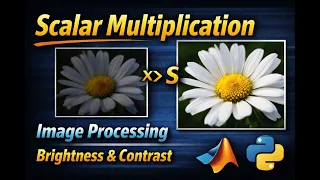 Scalar Multiplication in Image Processing Explained With MATLAB Python