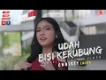 UDAH BISI KERUBUNG - CHRISTY EMILY (OFFICIAL MUSIC VIDEO)