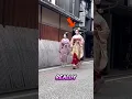 Download Lagu The Truth About Geisha: Most People Get This WRONG! 🎎🇯🇵 #japan #geisha #shorts