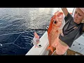 Our First trip to the Bahamas and Her First Queen Catch Cook