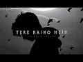 Download Lagu TERE NAINO MEIN - SLOWED \u0026 REVERB - LOFIBAAZ