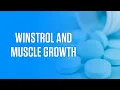 What 35 Studies Say About Winstrol and Muscle Growth