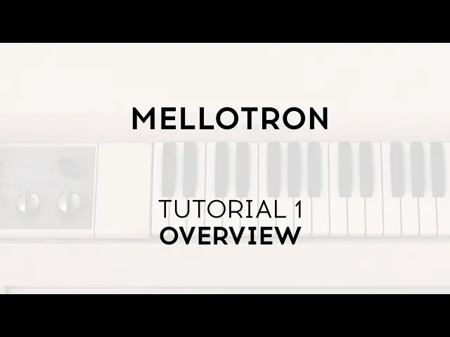 Ep. 1: Overview