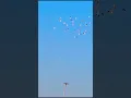 Download Lagu Hislerim - New Turkish Song WhatsApp Status video | #shorts