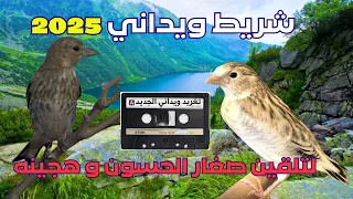 شريط التغريد الويداني لتلقين صغار الحسون و هجينه 2025 