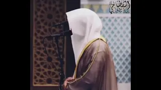 ولقد آتينا داود منا فضلا أروح تلاوات الشيخ ناصر القطامي 