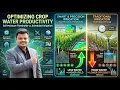 Optimizing Crop Water Productivity using AquaCrop-OSPy