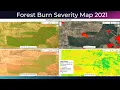 Mafungautsi Forest Burn Severity Map 2021