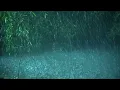 Beat Tinnitus with Heavy Rain on Lake, Calm Thunder in Deep Forest - Real Rain Sounds for Sleeping