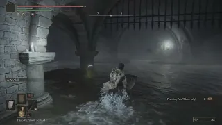 LOCKED BY SOME CONTRAPTION IMPALER CATACOMBS ELDEN RING