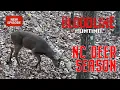From Opening Day to the Final Hunt One Full NC Deer Season