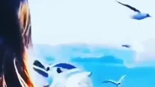 وبنحبك يا دنيا بجد 