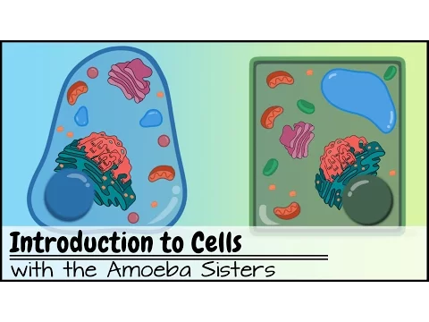 Download MP3 Introduction to Cells: The Grand Cell Tour