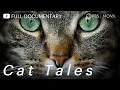 Download Lagu Cat Tales | Full Documentary | NOVA | PBS