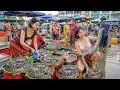 Cambodia s Mega Fish Market at Sunrise Massive Seafood Fish Supply Chain