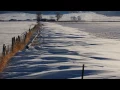 Wintertime-Steve Miller Band