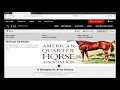 Navigating the New AQHA com How to Use New Drop-Down Menus