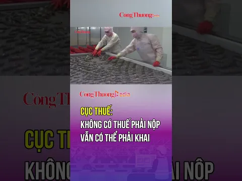 Cục Thuế: Không có thuế phải nộp vẫn có thể phải khai | Báo Công Thương