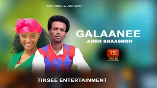 Abdii Shaashoo GALAANEE New Oromo Music Vedio 2025 