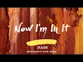 Lagu HAIM - Now I’m In It (Lyrics)