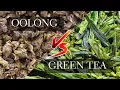 Lagu Oolong vs Green Tea - Comparing Green Tea vs Oolong taste and production