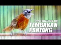 Download Lagu TEPUS KEPALA ABU NEMBAK PANJANG