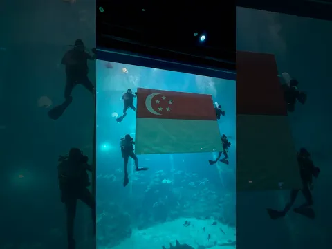 Singapore Oceanarium #ndp2025