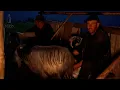 Download Lagu Mulsul oilor noaptea în munții Rodnei | Lecțiile unui cioban despre Dumnezeu și sclavia minții