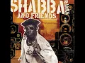 Mr. Loverman (feat. Chevelle Franklin) - Shabba Ranks