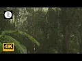 Heavy Tropical Rain on Roof in Costa Rica | Relaxing Rain Sounds Sounds for Sleep, Insomnia, Study Mp3 Song Download
