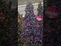 trees lights