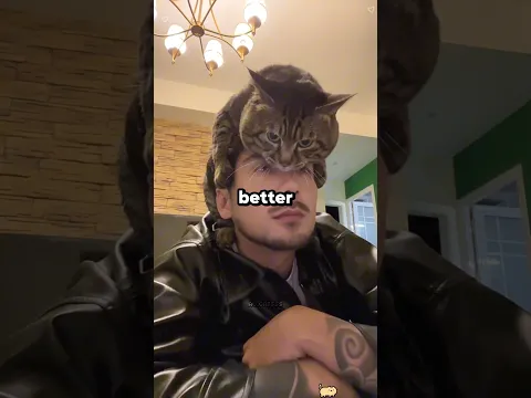When Your Cat Is So Clingy 😹😭 #cat #funny