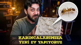 KARINCALARIMIZA YENİ EV YAPIYORUZ - CAMPONOTUS