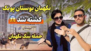 باورت میشه یک مرکز خرید در پونک بیش از ۱۰۰ سگ نگهبان داره  باورت میشه یک مرکز خرید در پونک بیش از ۱۰۰ سگ نگهبان داره