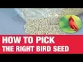 How To Pick Bird Seed - Ace Hardware