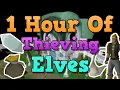 OSRS Pickpocketing Elves - Thieving Money Making Guide 2021