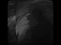 Sexual Purity - Convulsion