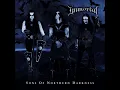 Beyond the North Waves - Immortal