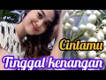 Lagu DJ PARTY TRAP ( tinggal kenangan) AUDIO JERNIH NGEBREN NROTOK FULL BAZZZ