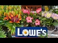 Best New Flowers at Lowe s