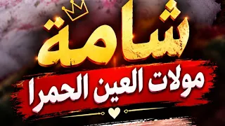 شامة مولات العين الحمرا الجزء السادس عشر دندنها