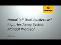 Nano-Glo Dual-Luciferase Reporter Assay System Manual Protocol