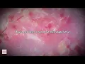roxette ✨ spending my time ✨ ~ lyrics