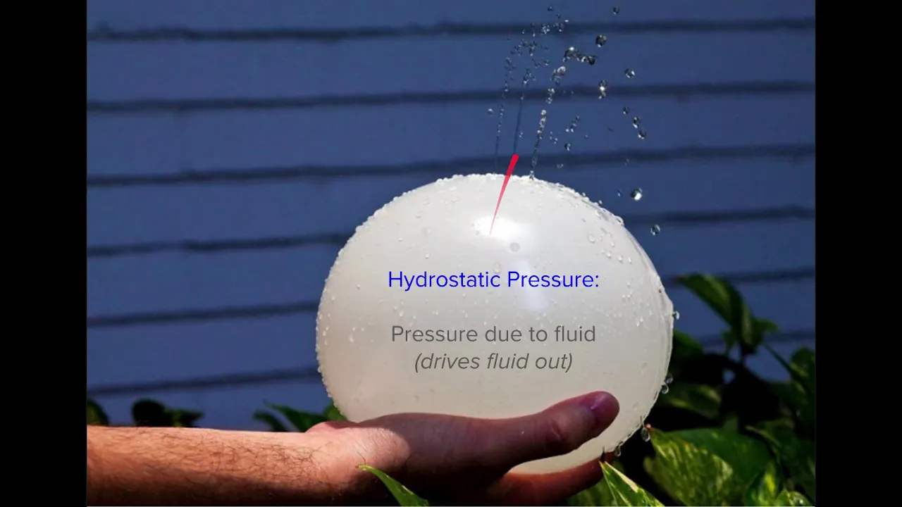 50.  Introduction to oncotic pressure and hydrostatic pressure