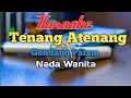Download Lagu TENANG ATENANG karaoke nada cewek wanita