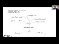 Understanding Observability Implementing OpenTelemetry in AWS