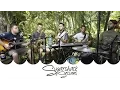 Download Lagu Sidereal - Apple (Live Music) | Sugarshack Sessions